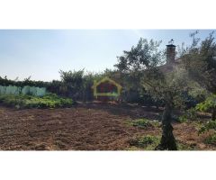 Parcela urbana de 800m2 en San Morales.