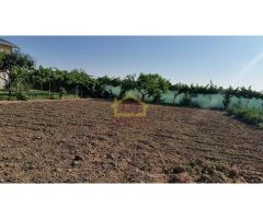 Parcela urbana de 800m2 en San Morales.