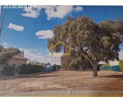 DJSANTOS le ofrece parcela urbana en venta en Cuatro Calzadas, Buenavista.