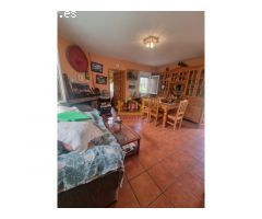 Parcela rústica en Pelabravo de 3.000 m2 con piscina y casa reformada de 50 m2