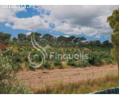 TERRENO PLANO CON CASITA PARA REFORMAR