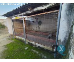 Gran oportunidad en Los Molares, casa planta baja a reformar con amplia parcela,