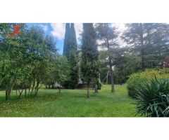 FINCA EL QUINTANAR MORATILLA DE LOS MELEROS (GUADALAJARA)