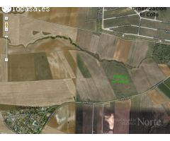 VENTA DE TERRENO NO URBANIZABLE EN VALDETORRES DEL JARAMA 28150 (MADRID)