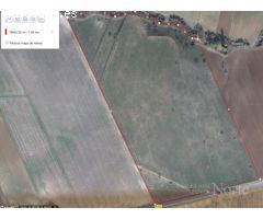 VENTA DE TERRENO NO URBANIZABLE EN VALDETORRES DEL JARAMA 28150 (MADRID)