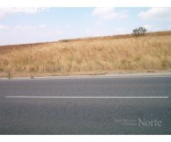 VENTA DE TERRENO NO URBANIZABLE EN VALDETORRES DEL JARAMA 28150 (MADRID)