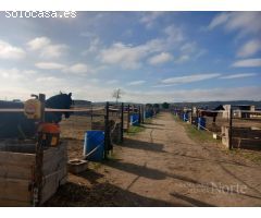 VENTA DE FINCA GANADERA CON CASA EN FUENTE EL SAZ (MADRID)