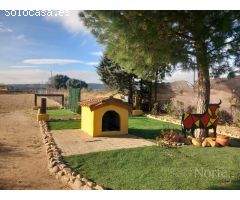 VENTA DE FINCA GANADERA CON CASA EN FUENTE EL SAZ (MADRID)