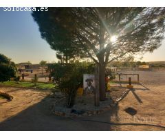 VENTA DE FINCA GANADERA CON CASA EN FUENTE EL SAZ (MADRID)