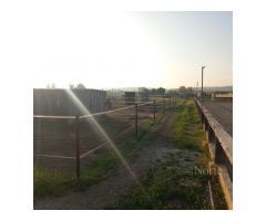 VENTA DE FINCA GANADERA CON CASA EN FUENTE EL SAZ (MADRID)