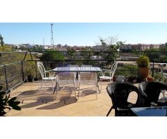 TERRENO VENTA CONSTITUCION CACERES