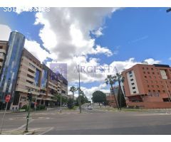 PISO VENTA VIRGEN DE GUADALUPE