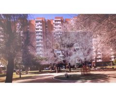 Magnífico piso en unos de los mejores barrios de Sevilla, con unas maravillosas