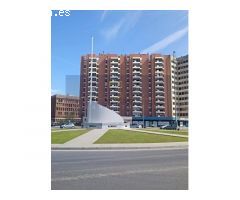 Magnífico piso en unos de los mejores barrios de Sevilla, con unas maravillosas