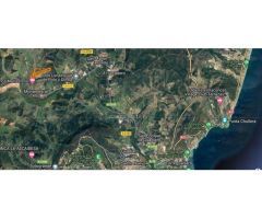 VILLA DE 5 DORMITORIOS CON PARCELA DE 170000 METROS, CERCA DE SOTOGRANDE
