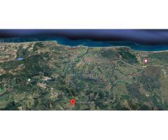VILLA DE 5 DORMITORIOS CON PARCELA DE 170000 METROS, CERCA DE SOTOGRANDE