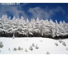 ED. EDELWEISS, 2 dormitorios zona media junto al Telesilla