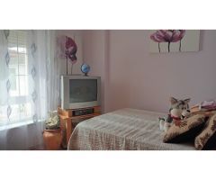 AMPLIA Y LUMINOSA CASA INDEPENDIENTE EN PLENO CENTRO DE LA MALAHÁ, CON TERRAZA Y