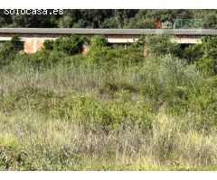 FINCA CON NAVE EN CERVERA DEL MAESTRE