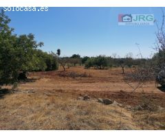FINCA RUSTICA EN BENICARLO