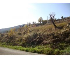 Parcela con vistas a la Peña Montañesa.