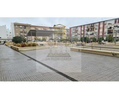 OBRA NUEVA EN EL MOLINO