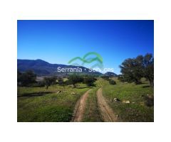 Finca. Cortijo a reformar, junto Pantano Zahara, Olivos, Vistas