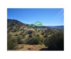Finca. Cortijo a reformar, junto Pantano Zahara, Olivos, Vistas