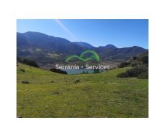 Finca. Cortijo a reformar, junto Pantano Zahara, Olivos, Vistas
