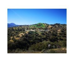 Finca. Cortijo a reformar, junto Pantano Zahara, Olivos, Vistas