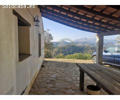 Finca 55 ha. Cortijo, Manantiales, Pastos para ganado, Pinar y Alcornoques