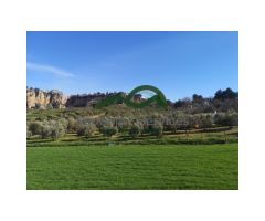 Casa de campo, Piscina, Olivar y Tierras de labor