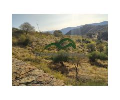 Finca Rústica de Almendros, Higueras y Olivar, Buena Ubicación