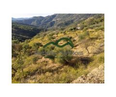 Finca Rústica de Almendros, Higueras y Olivar, Buena Ubicación