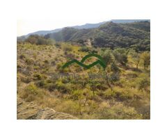 Finca Rústica de Almendros, Higueras y Olivar, Buena Ubicación
