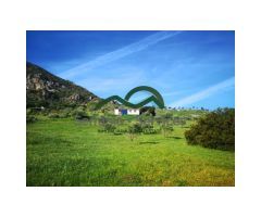 Finca 3,2 Has, Nave 99m2, Olivos, Vistas