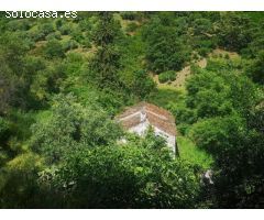 Finca Antiguo Molino 200 m2 construidos 5.2 Hectáreas de Terreno