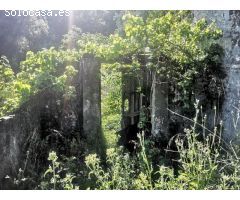 Finca Antiguo Molino 200 m2 construidos 5.2 Hectáreas de Terreno