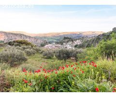 Serrania Services Inmobiliaria: Casa rústica de 3 Pisos en Montejaque con vistas
