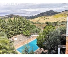 Finca, 2 casas, piscina y nave.