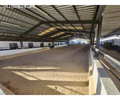 Centro ecuestre con 3 viviendas a 5 km de Ronda