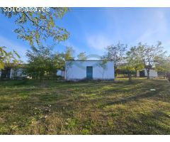 Centro ecuestre con 3 viviendas a 5 km de Ronda
