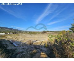 Centro ecuestre con 3 viviendas a 5 km de Ronda