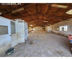Centro ecuestre con 3 viviendas a 5 km de Ronda
