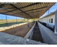 Centro ecuestre con 3 viviendas a 5 km de Ronda