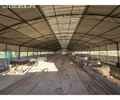 Centro ecuestre con 3 viviendas a 5 km de Ronda