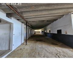 Centro ecuestre con 3 viviendas a 5 km de Ronda