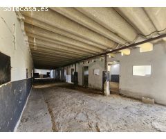 Centro ecuestre con 3 viviendas a 5 km de Ronda