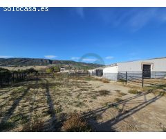Centro ecuestre con 3 viviendas a 5 km de Ronda