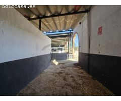 Centro ecuestre con 3 viviendas a 5 km de Ronda